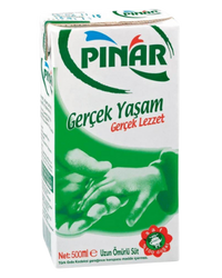 Süt