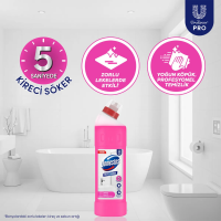 Domestos Professional Asidik Banyo Temizleyici 750 Ml - 3