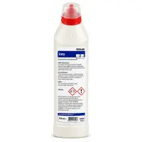 Ecolab Into Banyo ve Wc Temizleyici 750 Ml