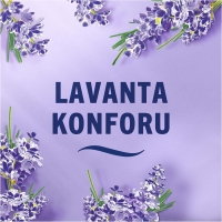 Febreze Lavanta Oda Kokusu Spreyi 185 Ml - 6
