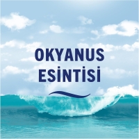 Febreze Okyanus Esintisi Oda Kokusu Spreyi 185 Ml - 4