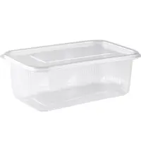 Rotto Pet Sızdırmaz Kap 1000 Cc 100 Lü