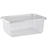Rotto Pet Sızdırmaz Kap Düz Kapak 1750 Gr 200 Adet