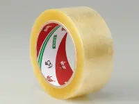 Tanex Lazer Etiket TW-2095 30x12 mm 100 Adet