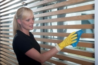 Vileda Professional PVAmicro Mikrofiber Bez 5 Li Mavi - 6