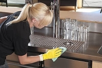 Vileda Professional PVAmicro Mikrofiber Bez 5 Li Yeşil - 3