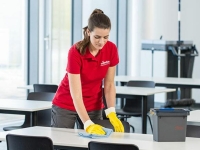 Vileda Professional r-MicroTuff Swift Temizlik Bezi 5 Li Kırmızı - 7